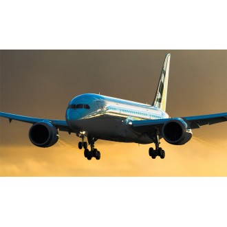 Boeing Business Jet 787